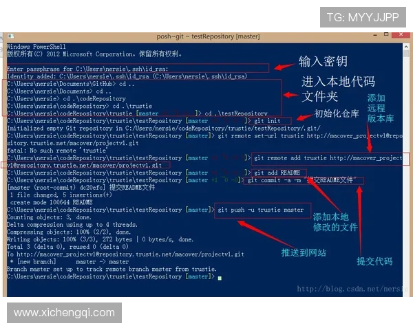 问鼎登录网址有哪些官方途径？提供全站最权威的登录入口及使用指南